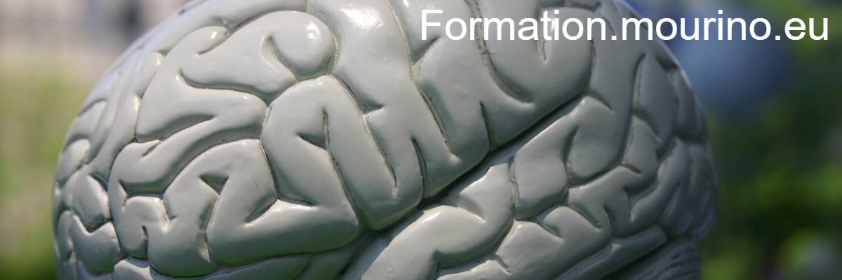 formation.mourino.eu